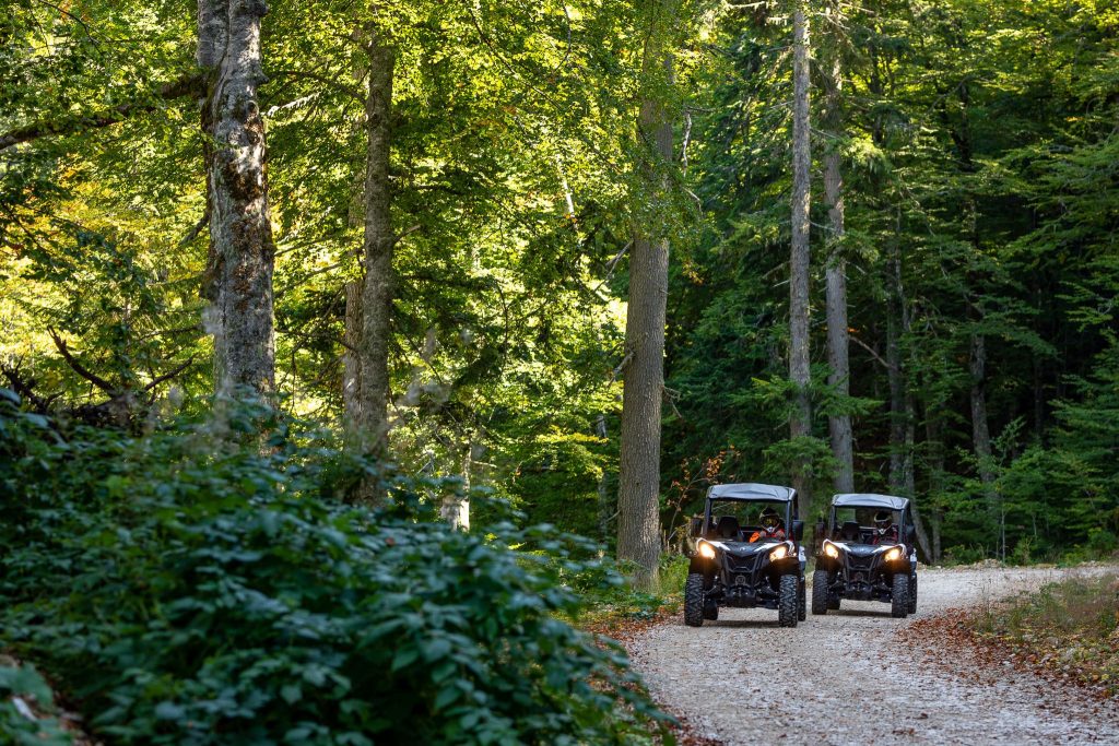 bagi porto tara (1)-min